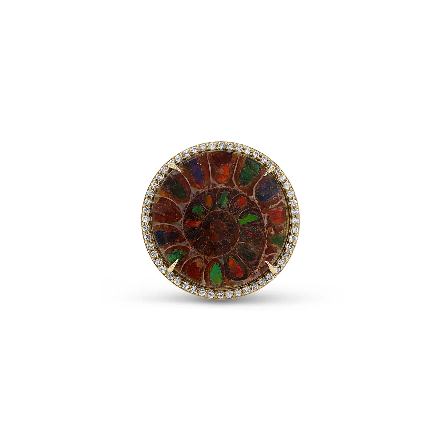 18K Round Ammonite & Diamond Cathedral Ring