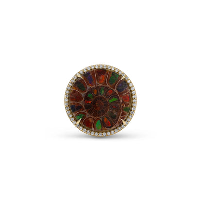 18K Round Ammonite & Diamond Cathedral Ring