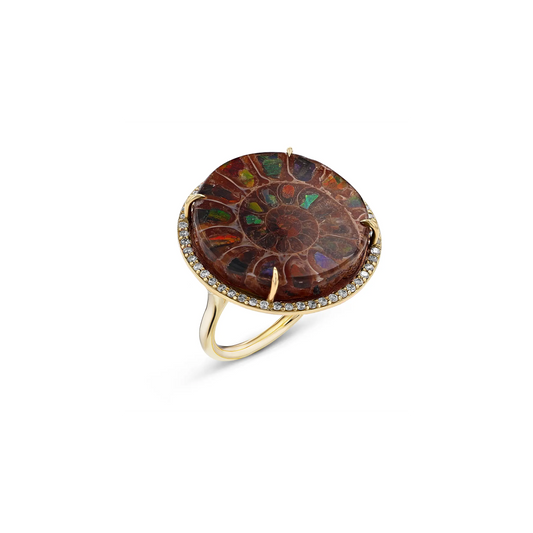 18K Round Ammonite & Diamond Cathedral Ring